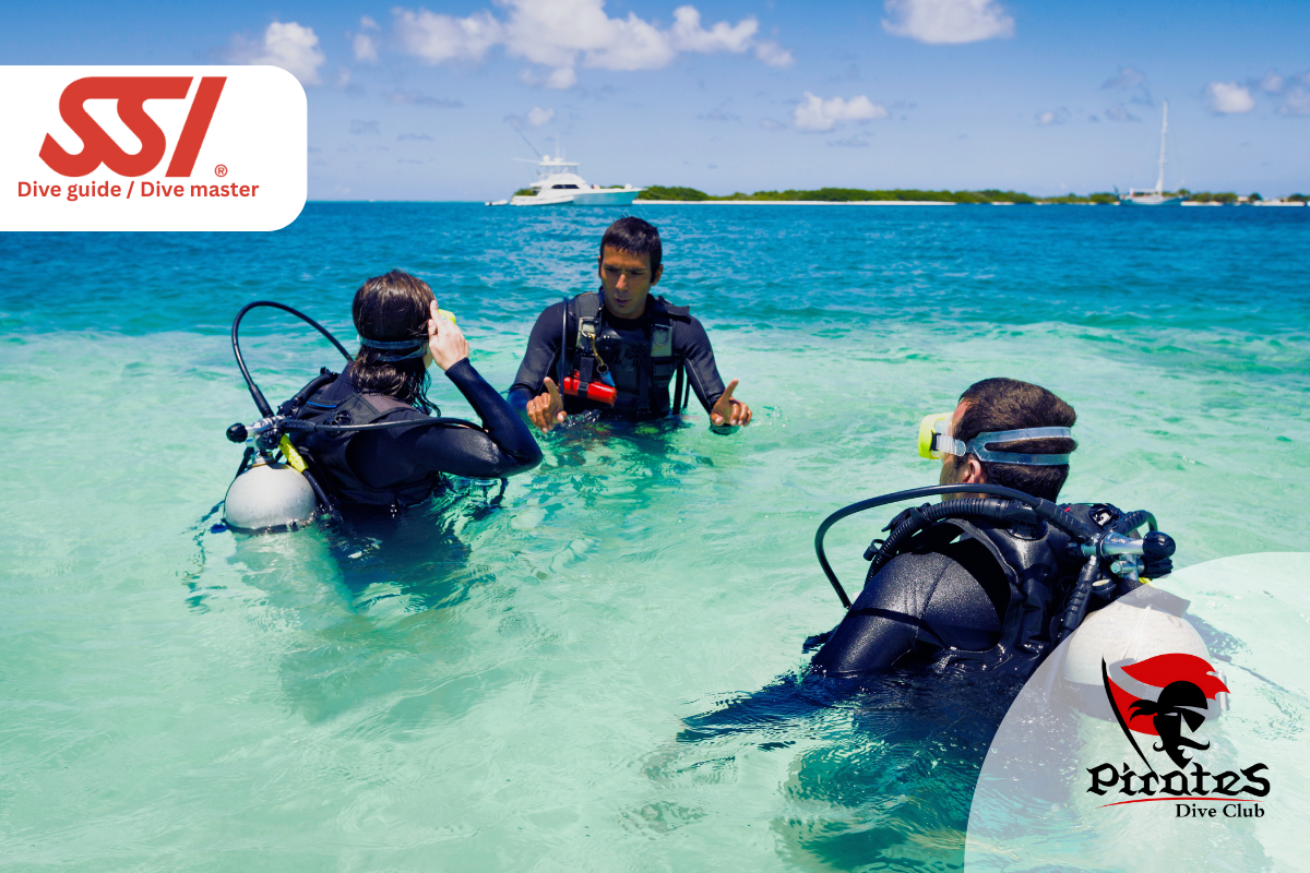 Dive guide Dive master